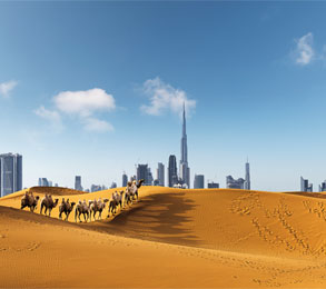 Cruceros por Oriente Medio. SoloCruceros.com