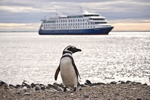 Medio Ambiente de Australis. SoloCruceros.co