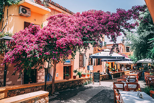 Itinerarios inmersivos con Azamara. SoloCruceros.co