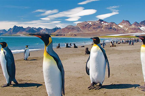 Itinerarios galardonados con Oceania. SoloCruceros.com