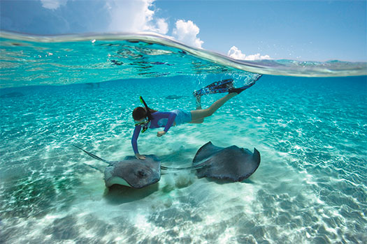 Ciudad de las Rayas en las Islas Caimán. SoloCruceros.co