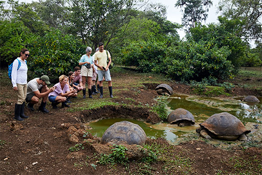 Rancho de tortugas en Bahía Tortuga. SoloCruceros.co