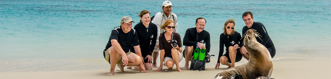 Leones marinos en la isla San Cristóbal. SoloCruceros.co