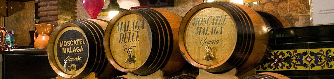 Información de cruceros desde Málaga. SoloCruceros.com