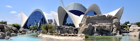 Oceanogràfic de Valencia. SoloCruceros.com Oceanogràfic de Valencia. SoloCruceros.com